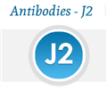 J2单克隆抗体（mAb），小鼠，lgG2a，kappa链